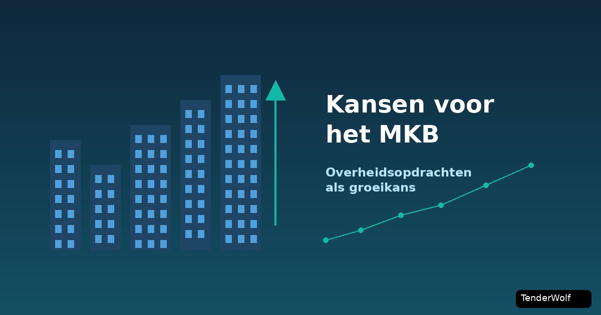 Entrepreneur looking at growth opportunities in public procurement